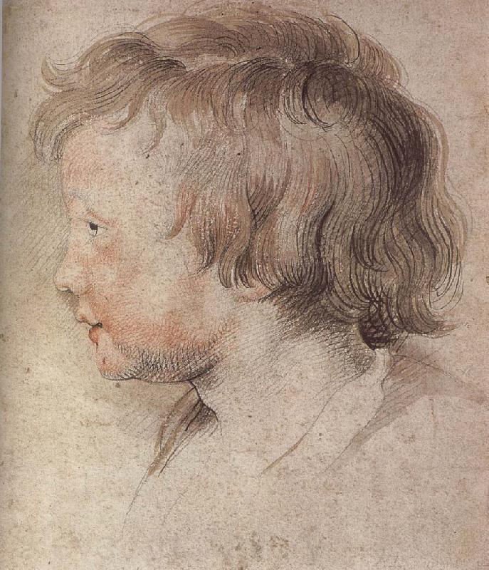 Peter Paul Rubens Portrait of Younger Rubens